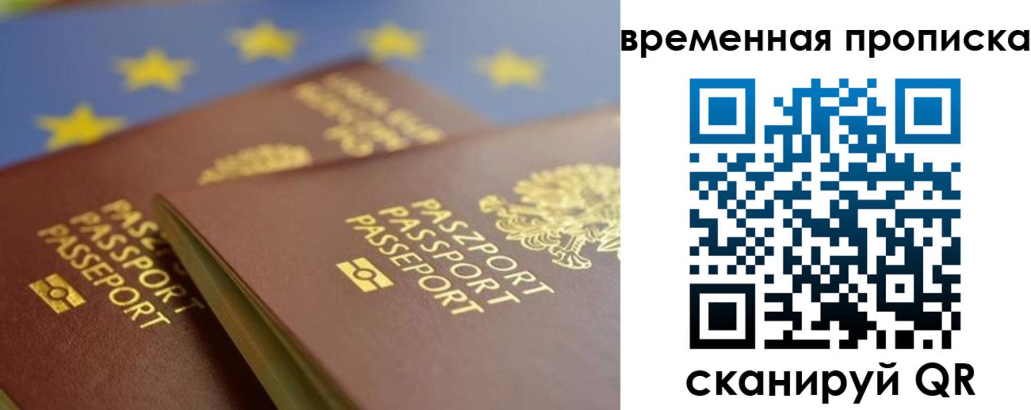 прописка законно в Батайске